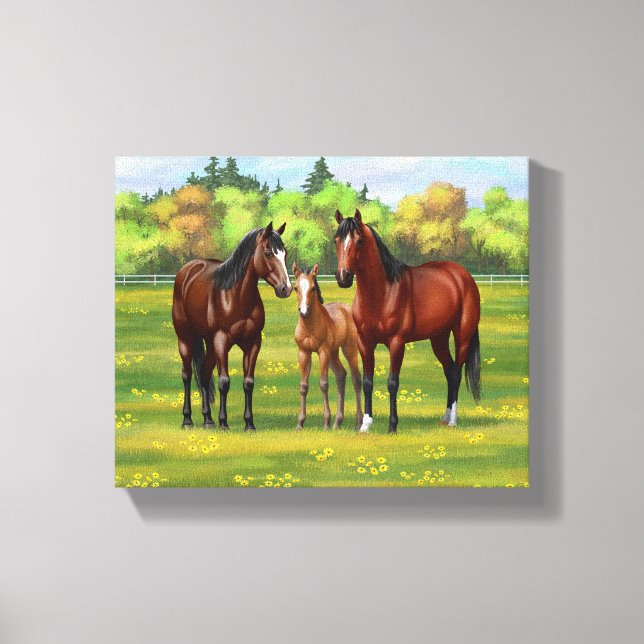 Brown Bay Quarter Horses In Summer Pasture Canvas Print (Front)