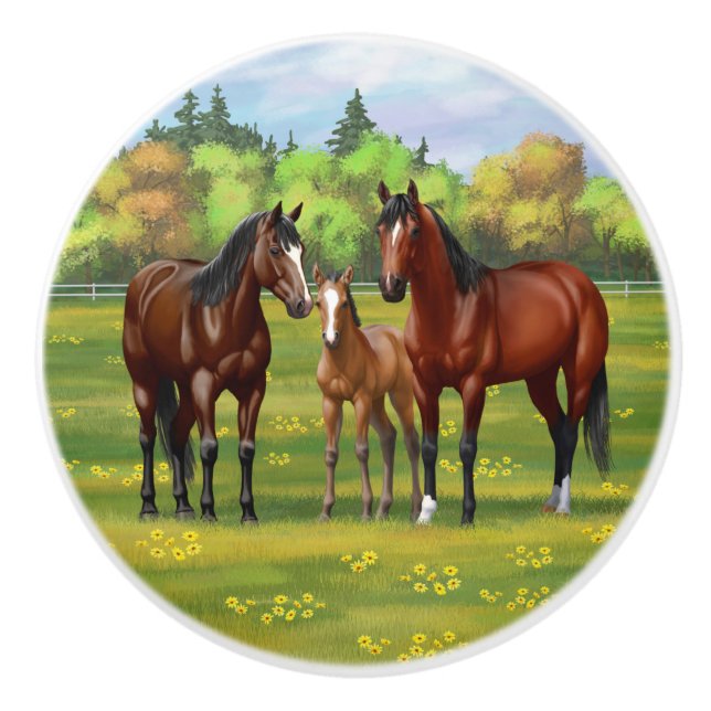 Brown Bay Quarter Horses In Summer Pasture Ceramic Knob (Front)