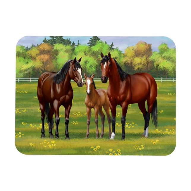 Brown Bay Quarter Horses In Summer Pasture Magnet (Horizontal)