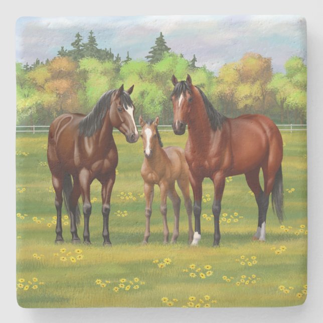 Brown Bay Quarter Horses In Summer Pasture Stone Coaster (Front)