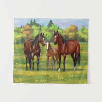 Brown Bay Quarter Horses In Summer Pasture