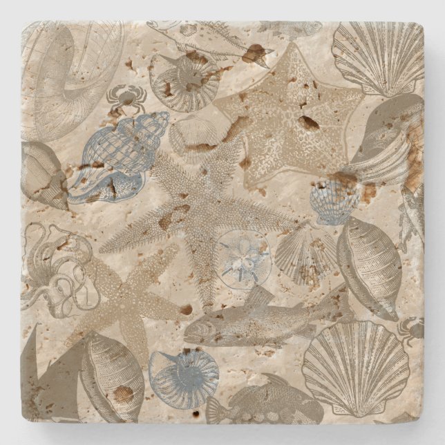 Brown Beach Blue Shells Ocean Stone Coaster (Front)