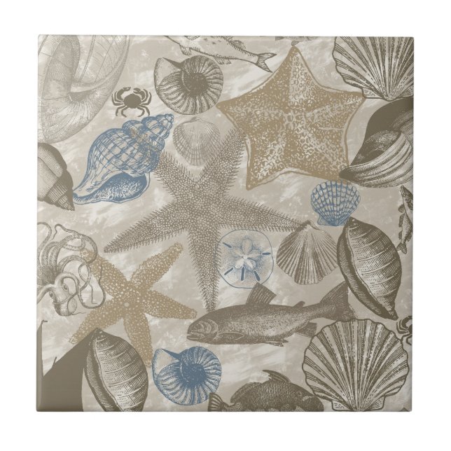 Brown Beach Blue Shells Ocean  Tile (Front)
