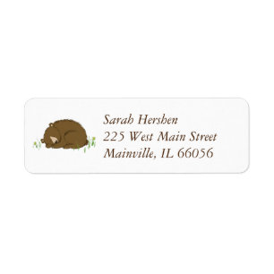 Brown Bear Baby Shower Woodland Animals