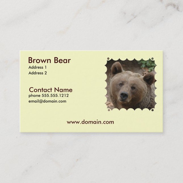 Brown Bear Business Card (Front)