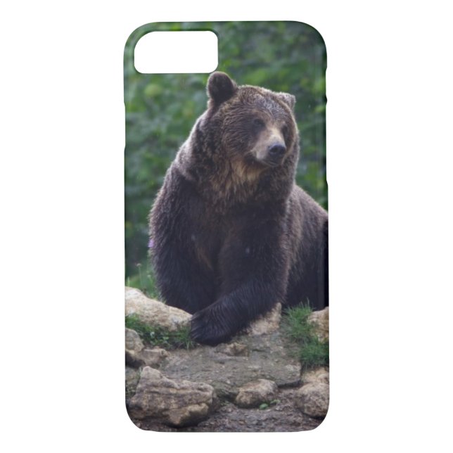 Brown bear Case-Mate iPhone case (Back)