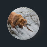 Brown Bear Catches Red Salmon 2 Inch Round Button<br><div class="desc">Brown bears fish for red salmon at the falls of the Brooks River,  Katmai National Park,  southwest,  Alaska.</div>