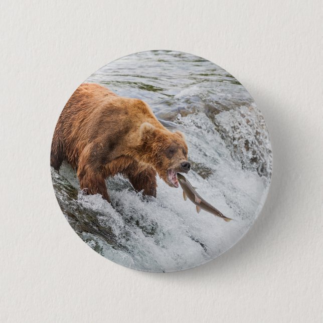 Brown Bear Catches Red Salmon 2 Inch Round Button (Front)