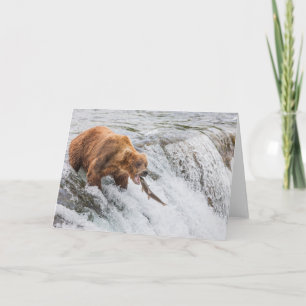 Brown Bear Catches Red Salmon Card