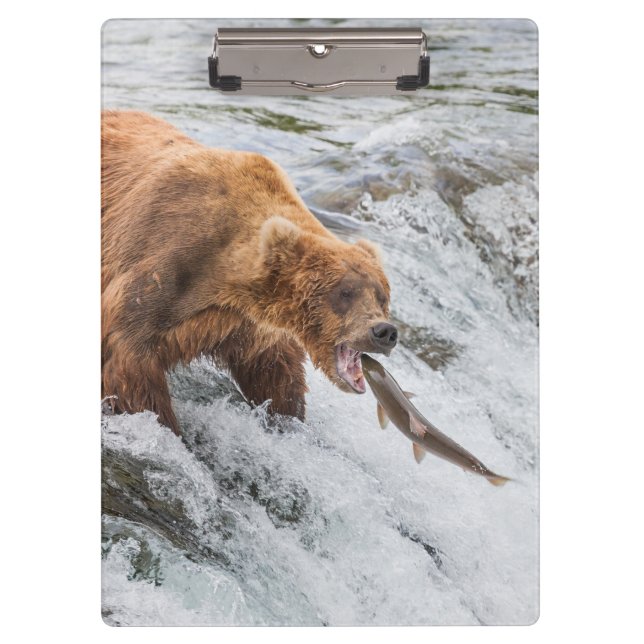 Brown Bear Catches Red Salmon Clipboard (Front)