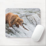 Brown Bear Catches Red Salmon Mouse Pad<br><div class="desc">Brown bears fish for red salmon at the falls of the Brooks River,  Katmai National Park,  southwest,  Alaska.</div>