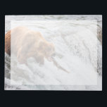 Brown Bear Catches Red Salmon Notepad<br><div class="desc">Brown bears fish for red salmon at the falls of the Brooks River,  Katmai National Park,  southwest,  Alaska.</div>