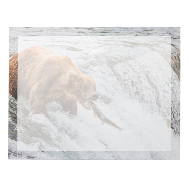 Brown Bear Catches Red Salmon Notepad (Front)