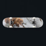 Brown Bear Catches Red Salmon Skateboard<br><div class="desc">Brown bears fish for red salmon at the falls of the Brooks River,  Katmai National Park,  southwest,  Alaska.</div>