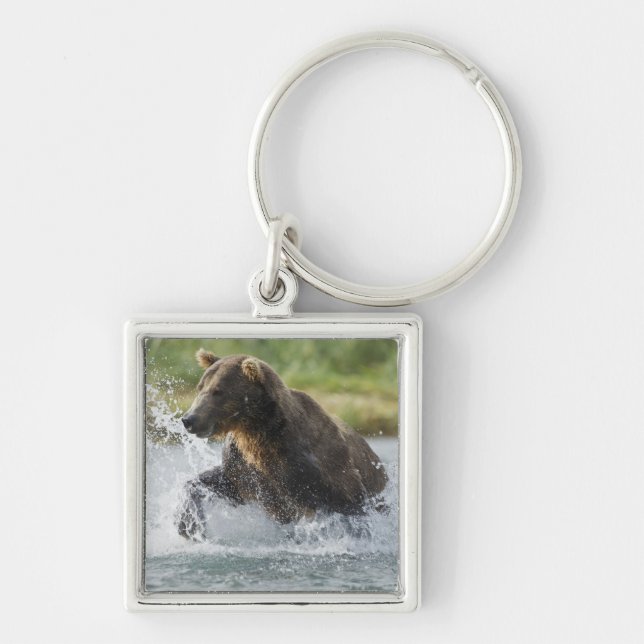 Brown Bear chasing salmon in river Keychain (Front)