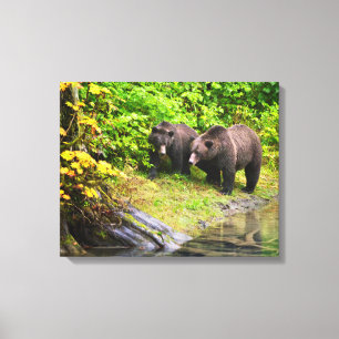 Brown Bear & Cub   Hyder, Alaska Canvas Print