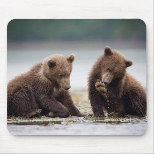 Brown Bear Cubs by the Stream Mouse Pad