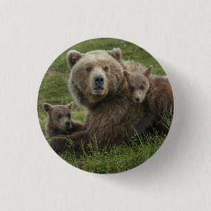 Brown Bear Cubs Cuddling with their Mother 1 Inch Round Button