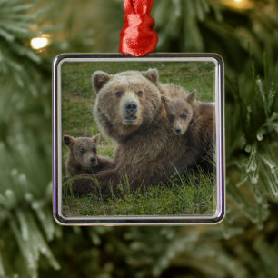 Brown Bear Cubs Cuddling with their Mother Metal Ornament