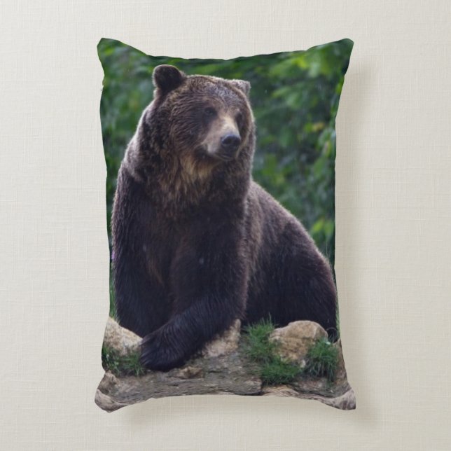 Brown bear decorative pillow (Front(Vertical))
