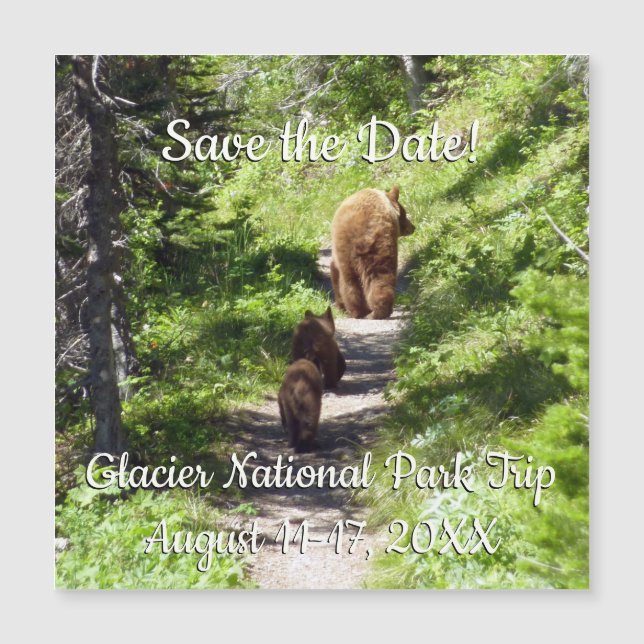 Brown Bear Family (Front)