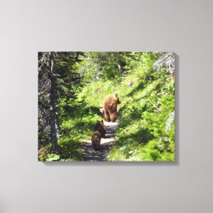 Brown Bear Family Canvas Print