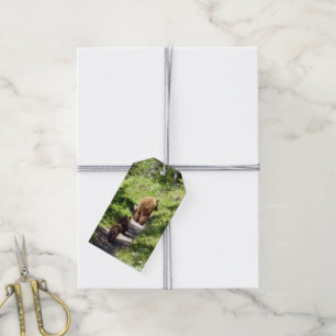 Brown Bear Family Gift Tags
