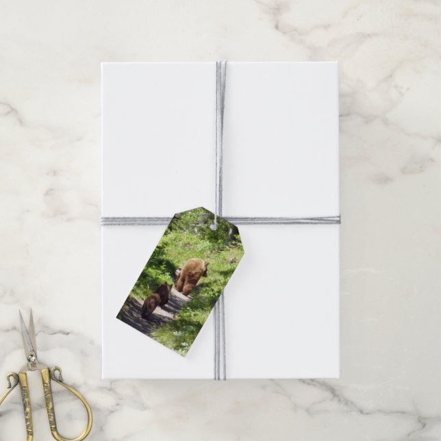 Brown Bear Family Gift Tags (With Twine)