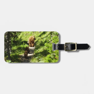 Brown Bear Family Luggage Tag