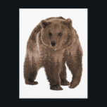 Brown Bear Forest Double Exposure Postcard<br><div class="desc">This design may be personalized by choosing the Edit Design option. You may also transfer onto other items. Contact me at colorflowcreations@gmail.com or use the chat option at the top of the page if you wish to have this design on another product or need assistance. See more of my designs...</div>