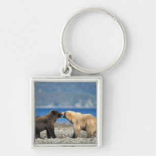 Brown bear, grizzly bear, play on the beach, keychain