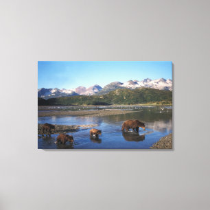Brown bear, grizzly bear, sow and cubs in canvas print