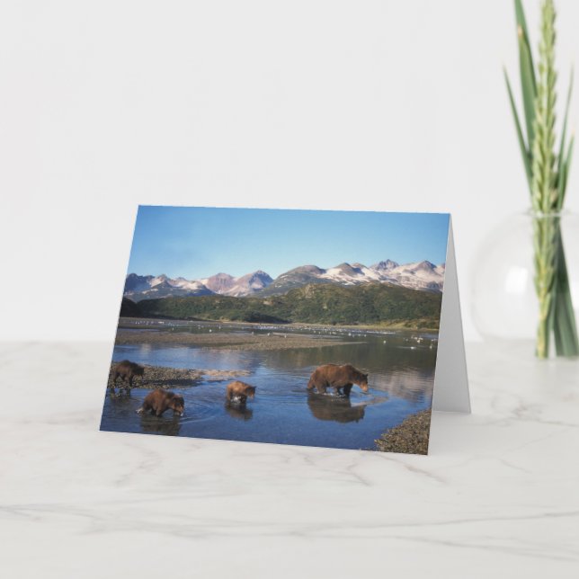 Brown bear, grizzly bear, sow and cubs in card (Front)