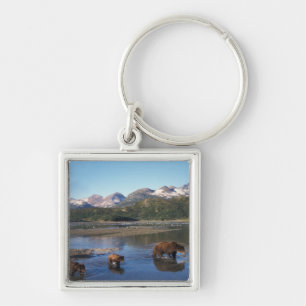 Brown bear, grizzly bear, sow and cubs in keychain