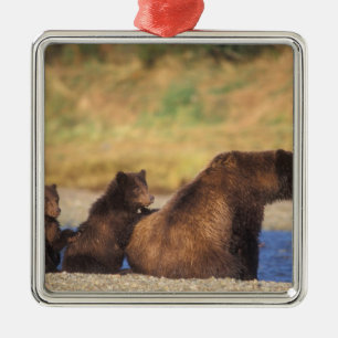 Brown bear, grizzly bear, sow with cubs, metal ornament