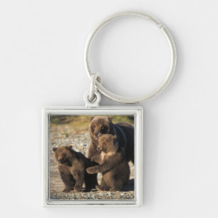 Brown bear, grizzly bear, sow with cubs on coast keychain