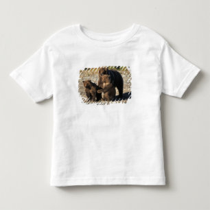 Brown bear, grizzly bear, sow with cubs on coast toddler t-shirt