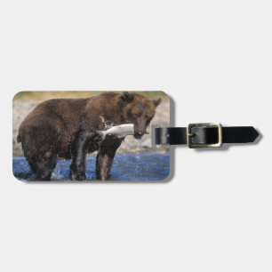 Brown bear, grizzly bear, with salmon catch, luggage tag