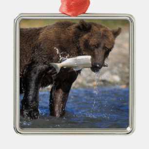 Brown bear, grizzly bear, with salmon catch, metal ornament