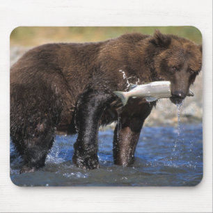 Brown bear, grizzly bear, with salmon catch, mouse pad