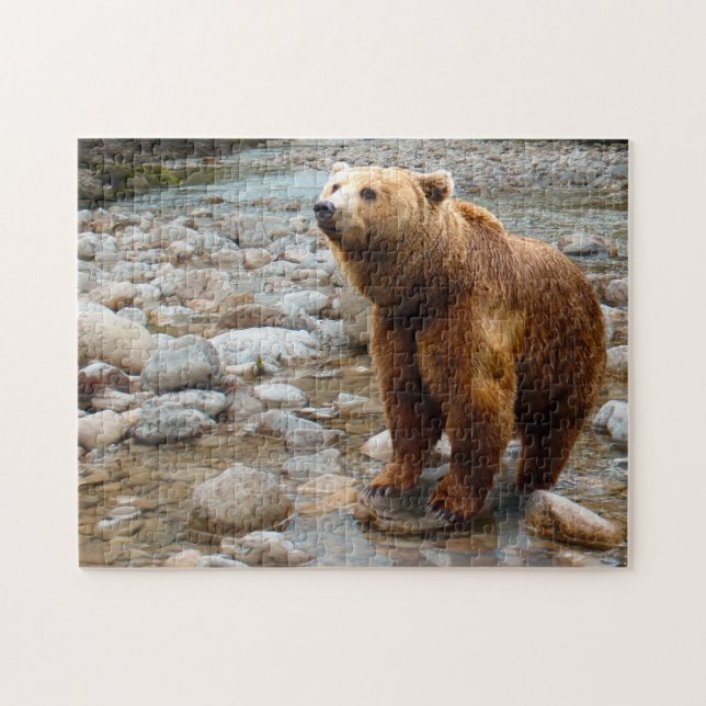 Brown Bear in Stream Jigsaw Puzzle (Horizontal)