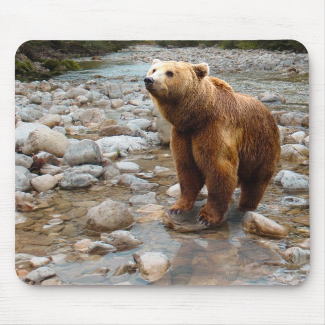 Brown Bear in Stream Mouse Pad (Front)