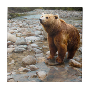 Brown Bear in Stream Tile