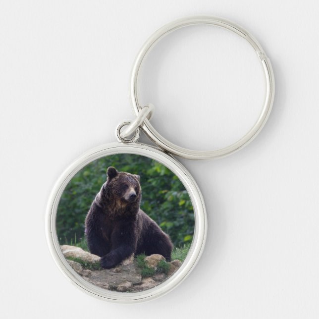 Brown bear keychain (Front)