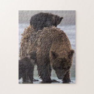 Brown Bear   Lake Clark National Park Jigsaw Puzzle