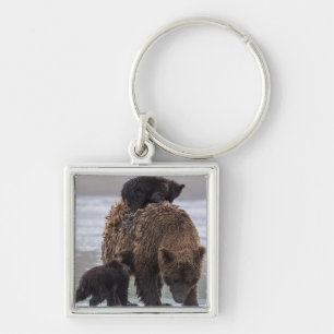 Brown Bear   Lake Clark National Park Keychain