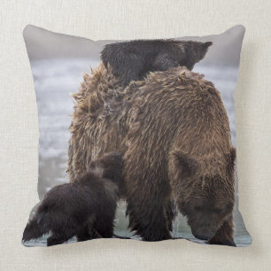 Brown Bear   Lake Clark National Park Throw Pillow