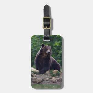 Brown bear luggage tag