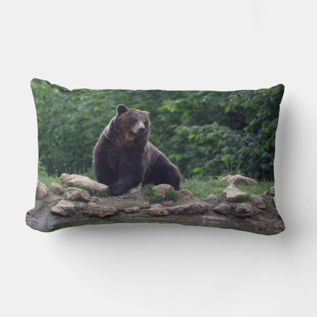 Brown bear lumbar pillow (Front)