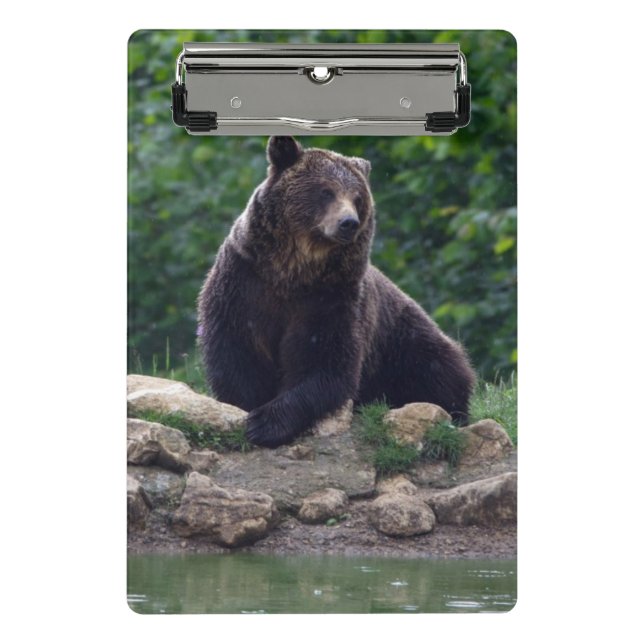 Brown bear mini clipboard (Front)